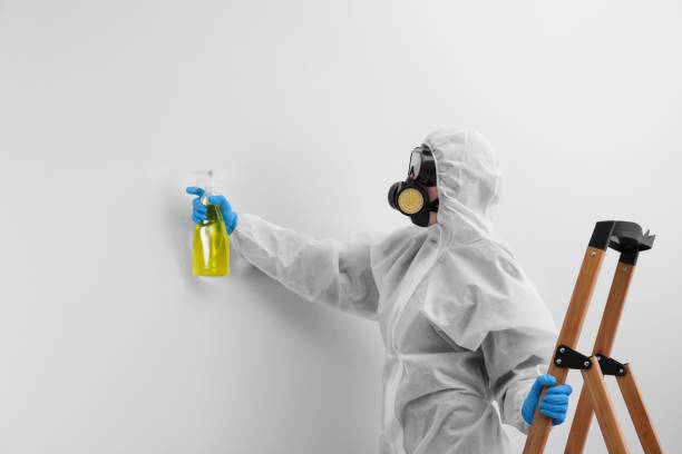 Best Commercial Mold Inspection  in Estill Springs, TN